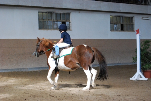 Escuela de ponis en el territorio de Triesle.